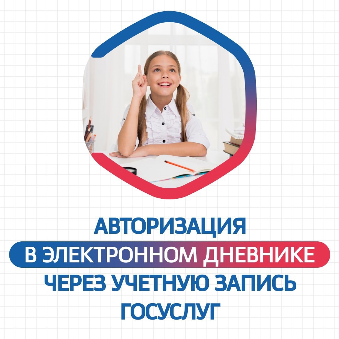 Авторизация в Дневнике.ру через Госуслуги.